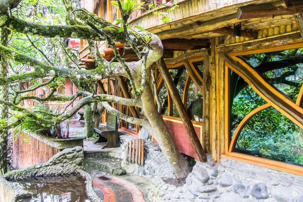 Finca Chamanapamba Guest House 바뇨스 외부 사진