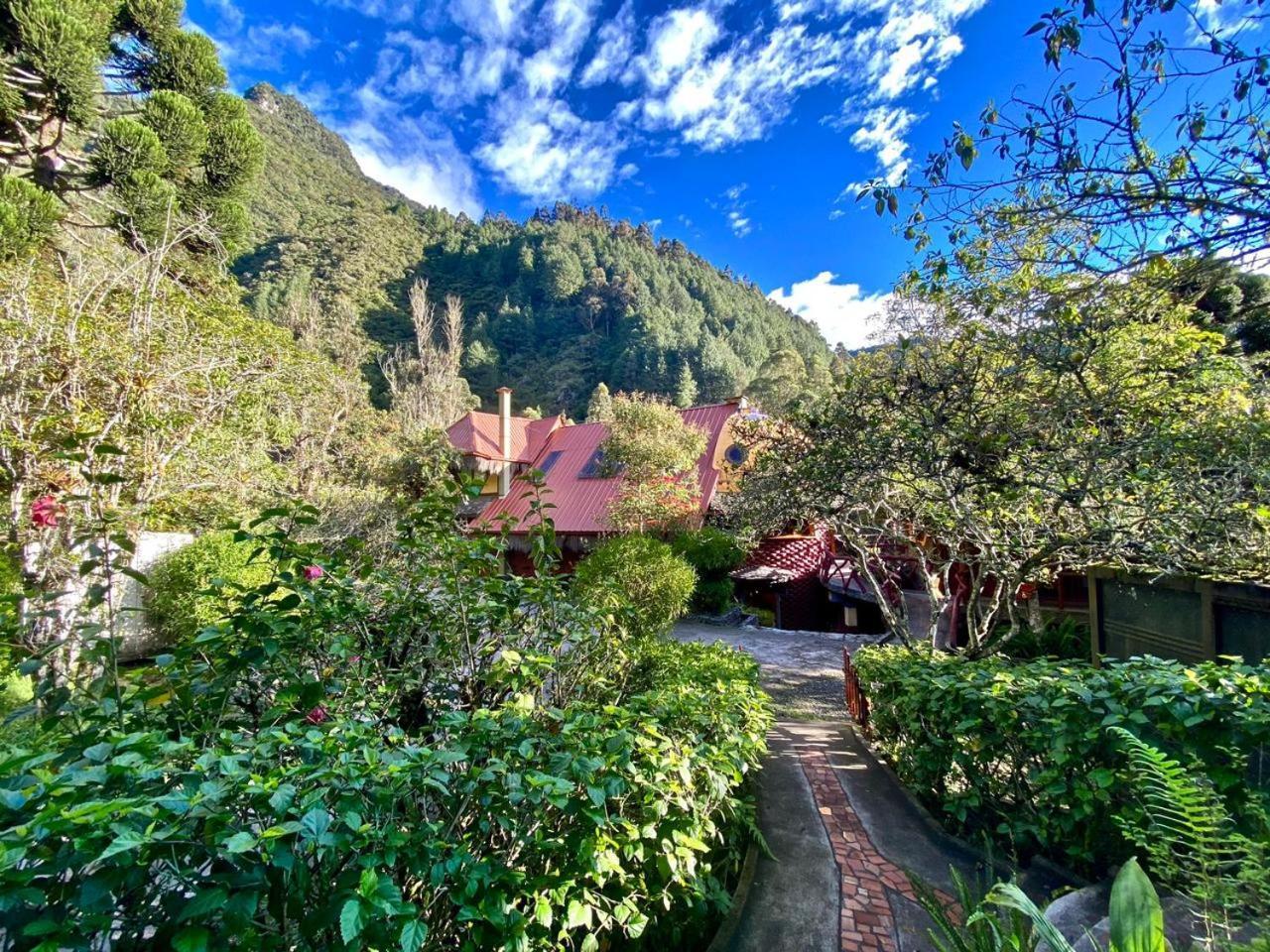 Finca Chamanapamba Guest House 바뇨스 외부 사진