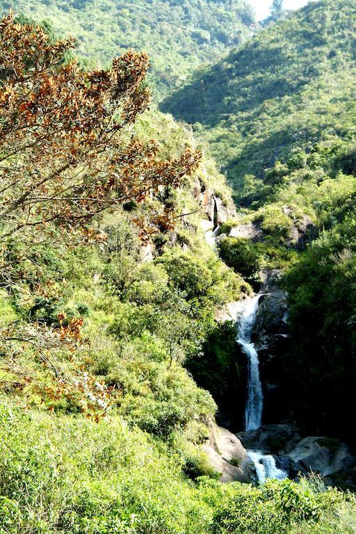Finca Chamanapamba Guest House 바뇨스 외부 사진