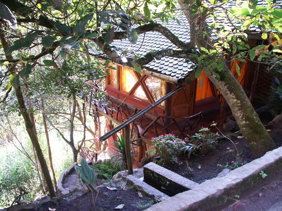 Finca Chamanapamba Guest House 바뇨스 객실 사진