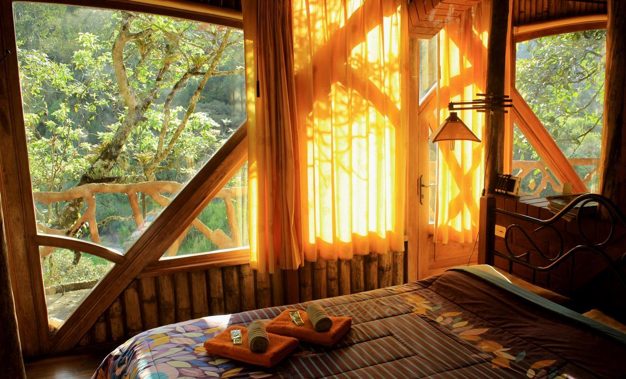 Finca Chamanapamba Guest House 바뇨스 외부 사진